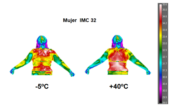 Imagen no encontrada